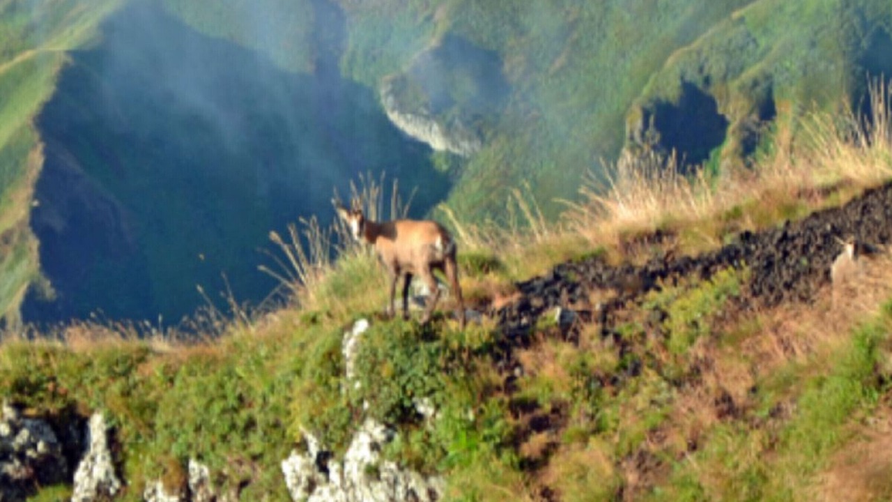 Photo of Others in La Tour-dʼAuvergne