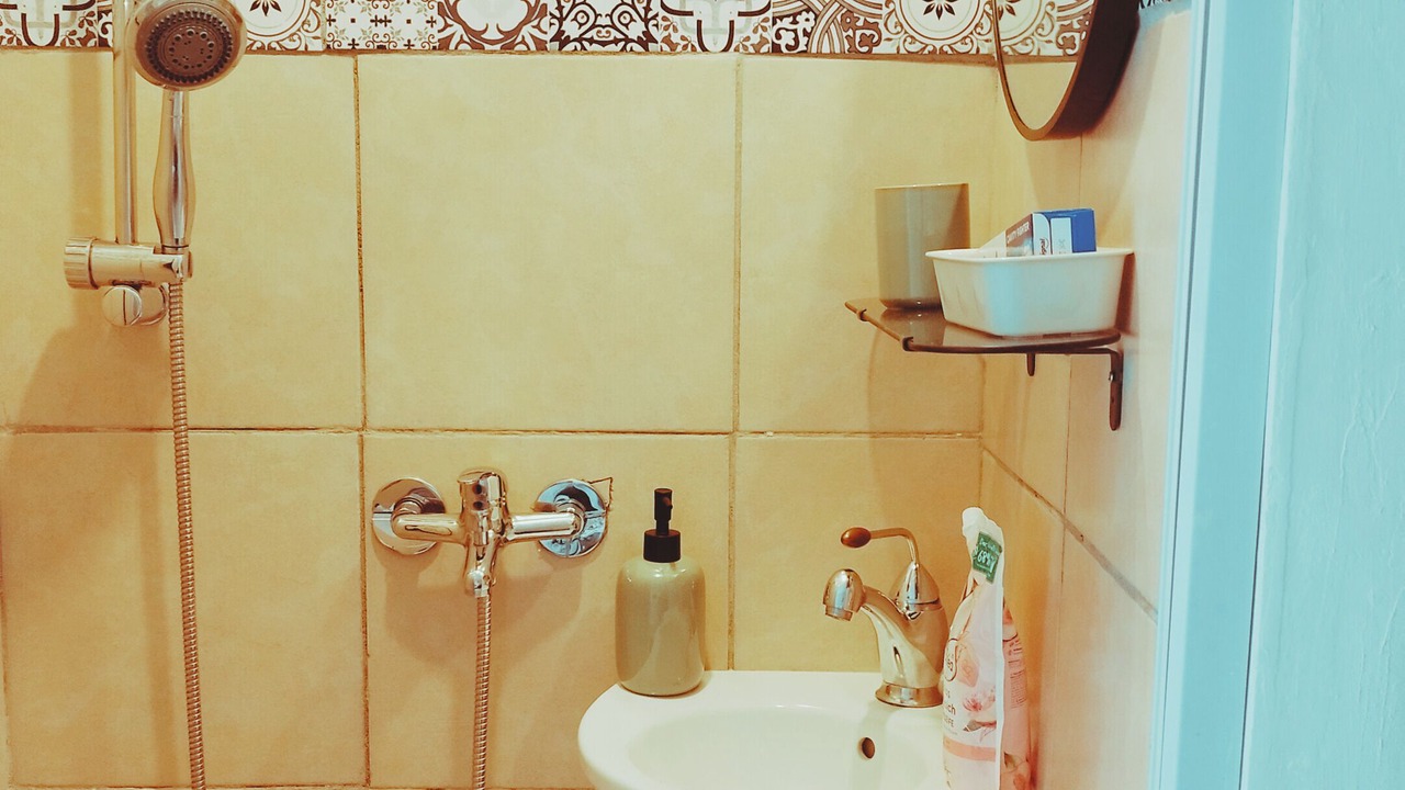 Photo of Bathroom in Meyzieu