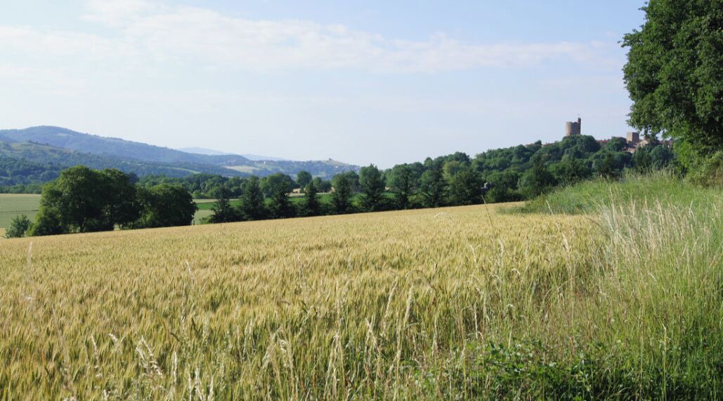Photo of Others in Montpeyroux