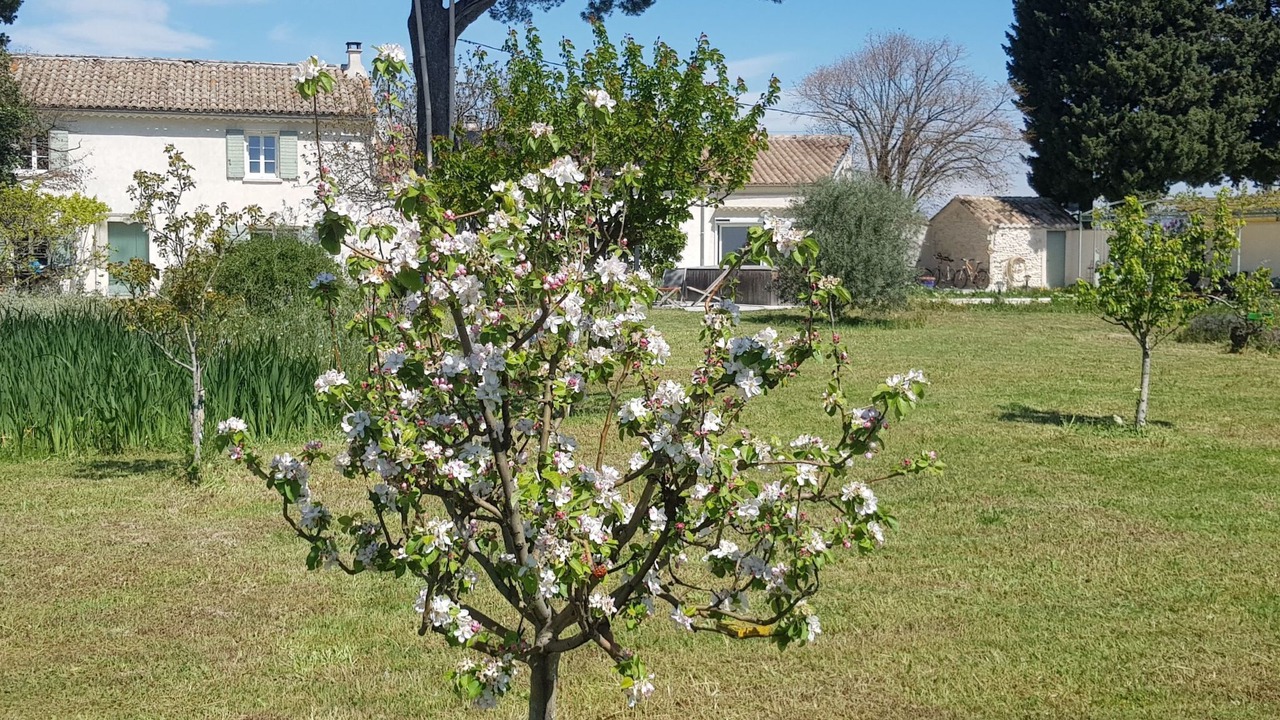 Photo of Outdoor in Violes