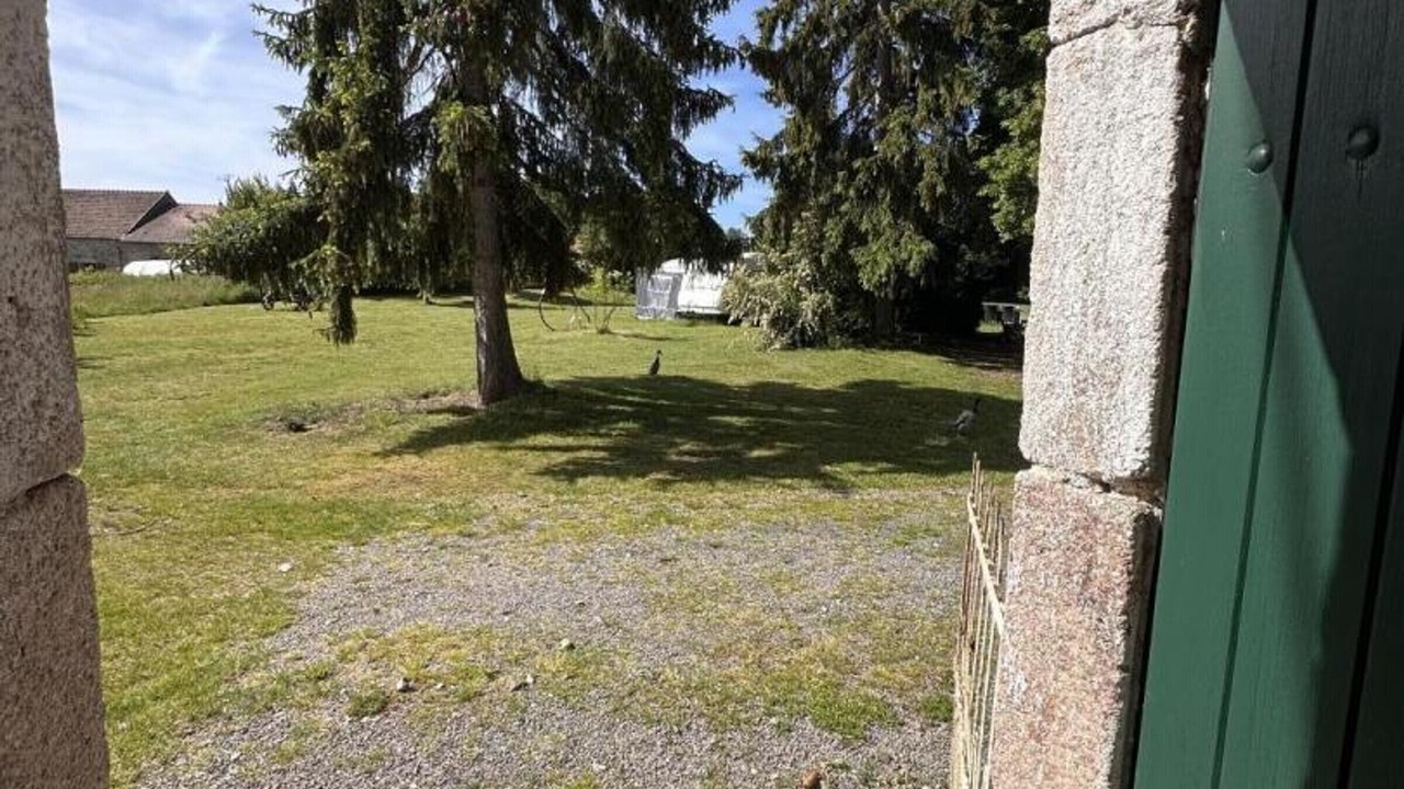 Photo of Outdoor in Saint-Palais