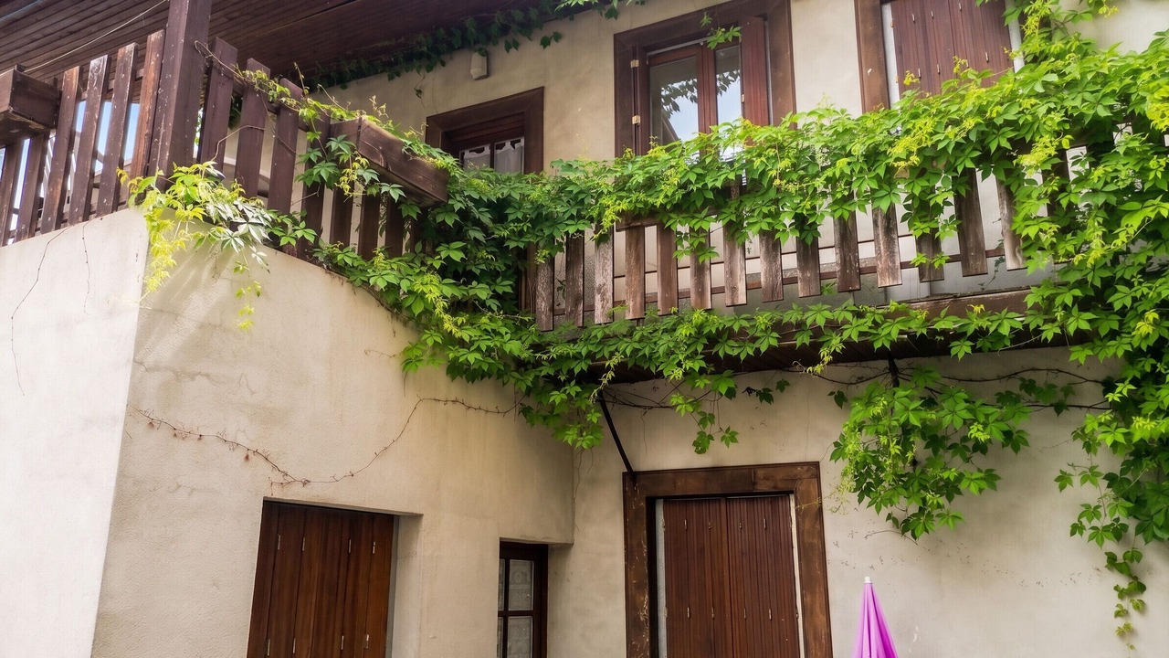 Photo of Others in Neris-les-Bains
