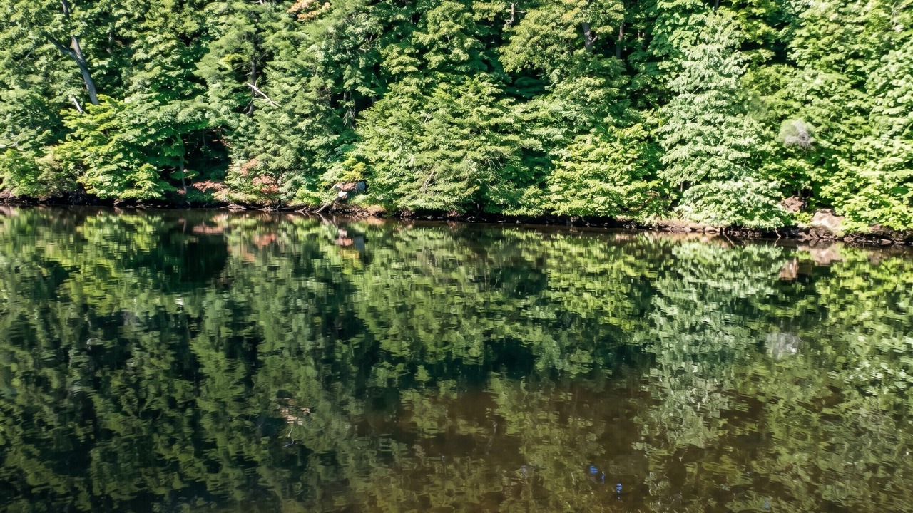 Photo of Others in Neris-les-Bains