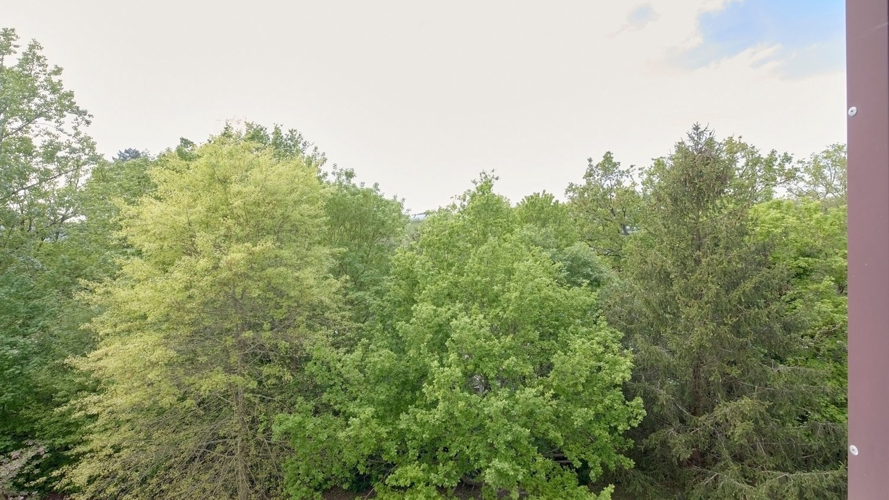Photo of Others in Nord Sillon