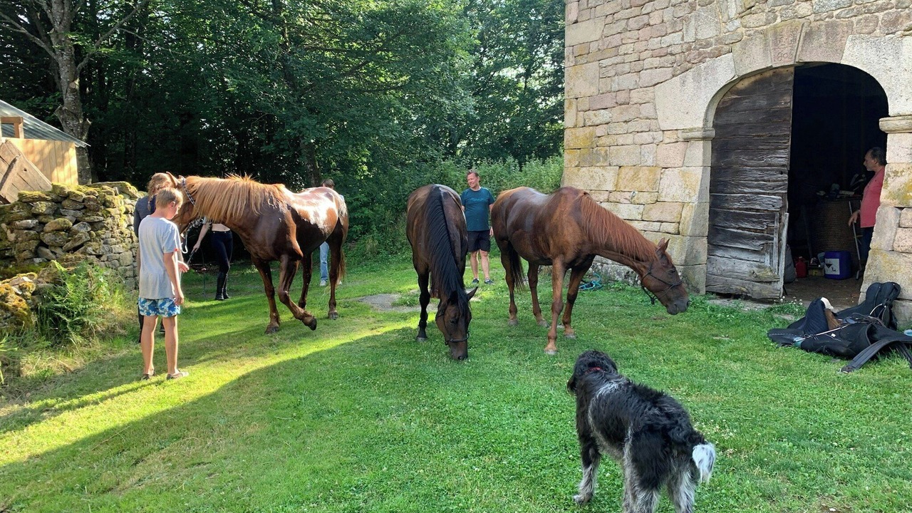Photo of Others in Saint-Merd-les-Oussines
