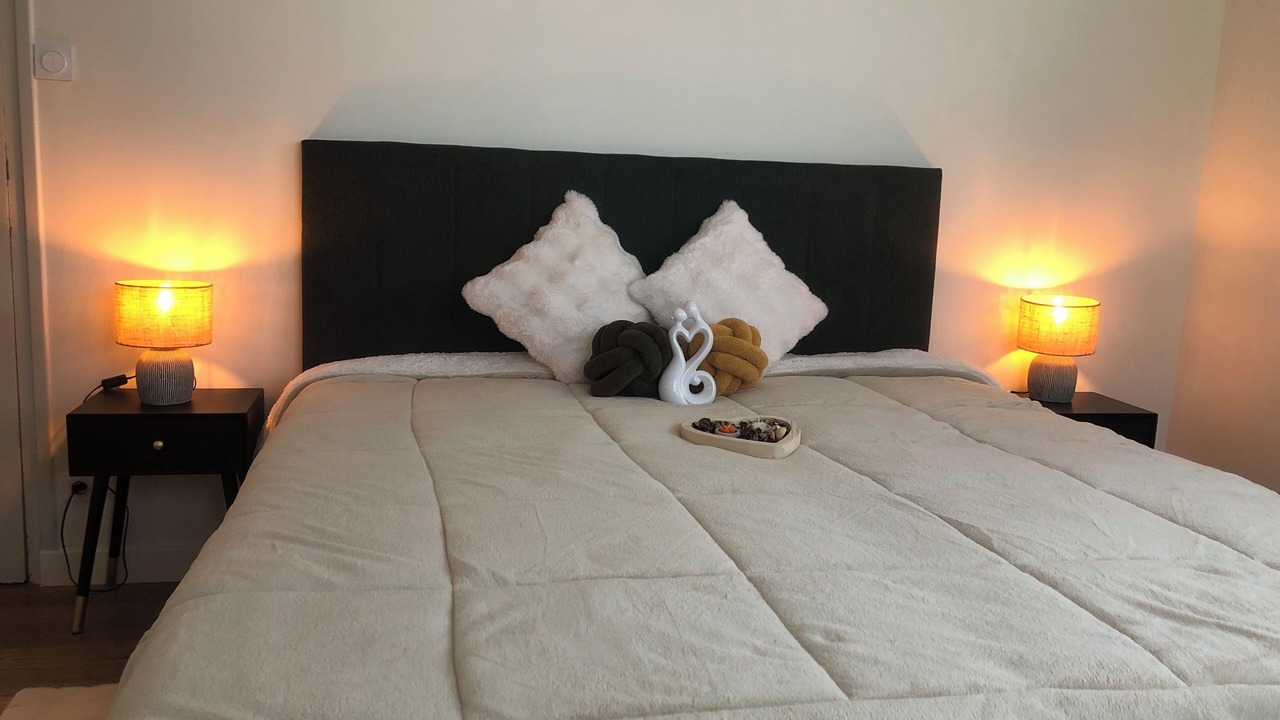 Photo of Bedroom in Decines-Charpieu