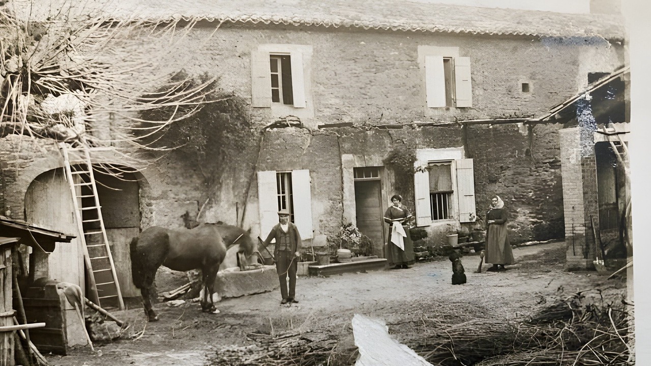 Photo of Others in Suze-la-Rousse
