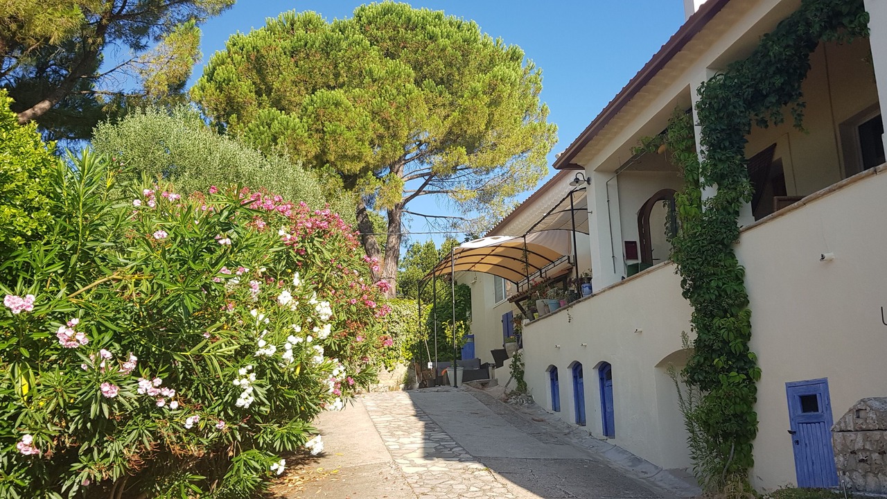 Photo of Outdoor in Saint-Julien-de-Peyrolas