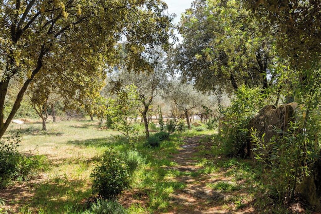 Photo of Outdoor in Sorgues