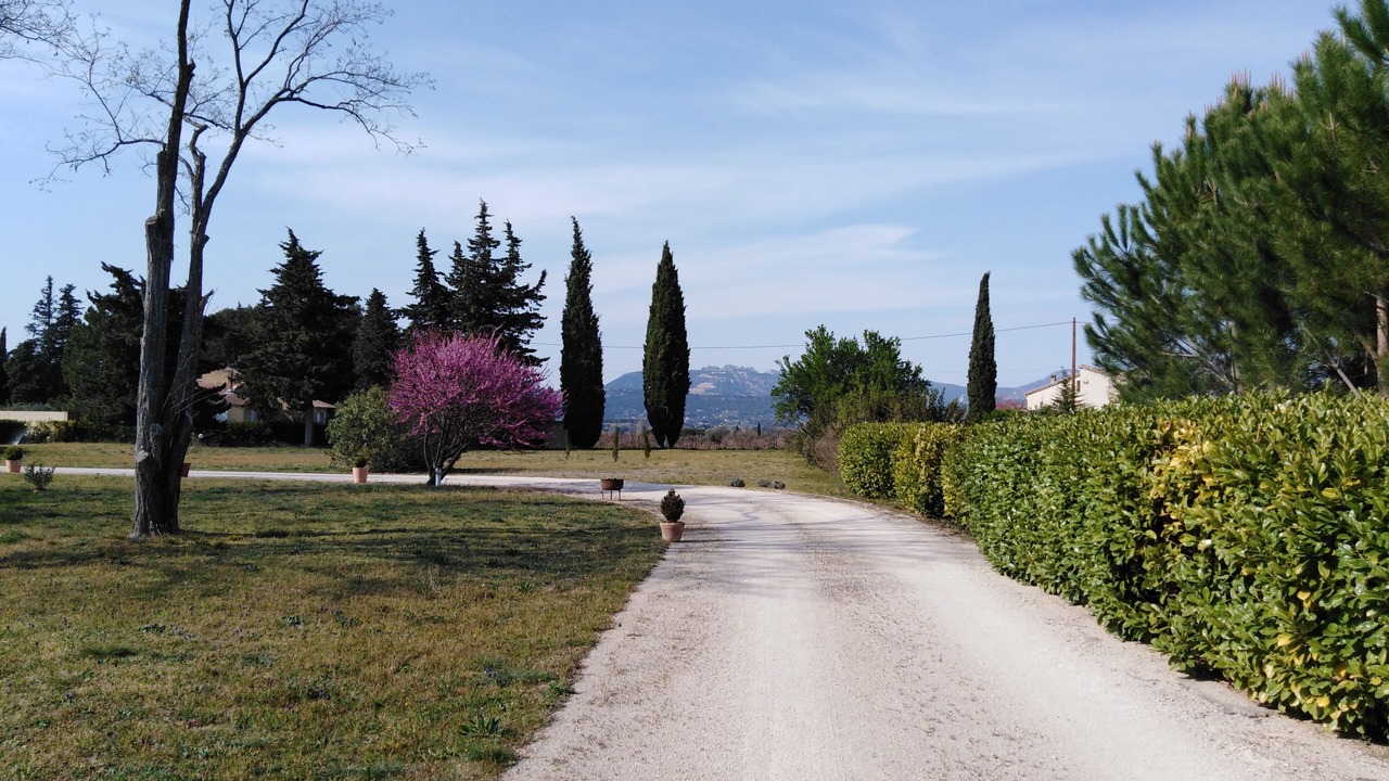 Photo of Outdoor in Aubignan