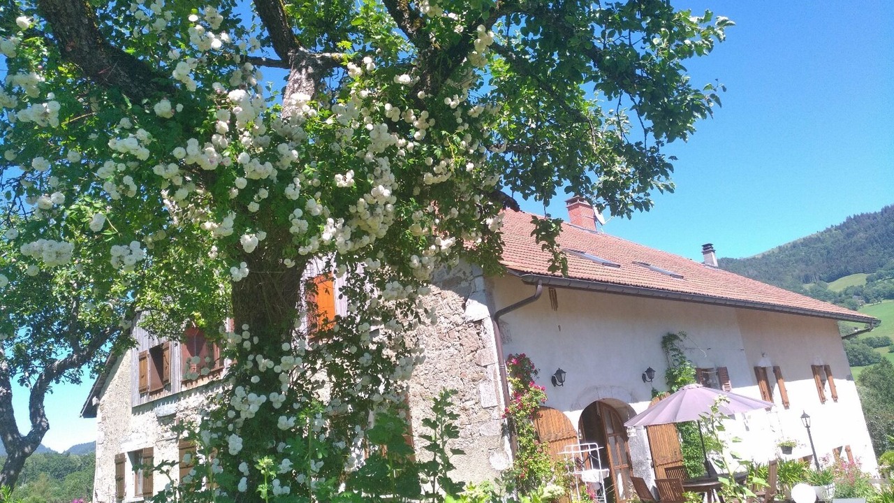 Photo of Outdoor in Burdignin