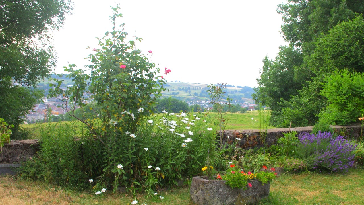 Photo of Outdoor in Aurillac
