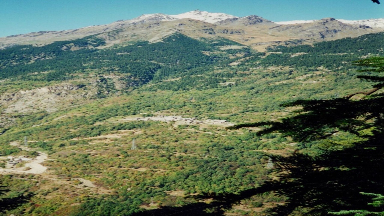 Photo of Others in Orelle