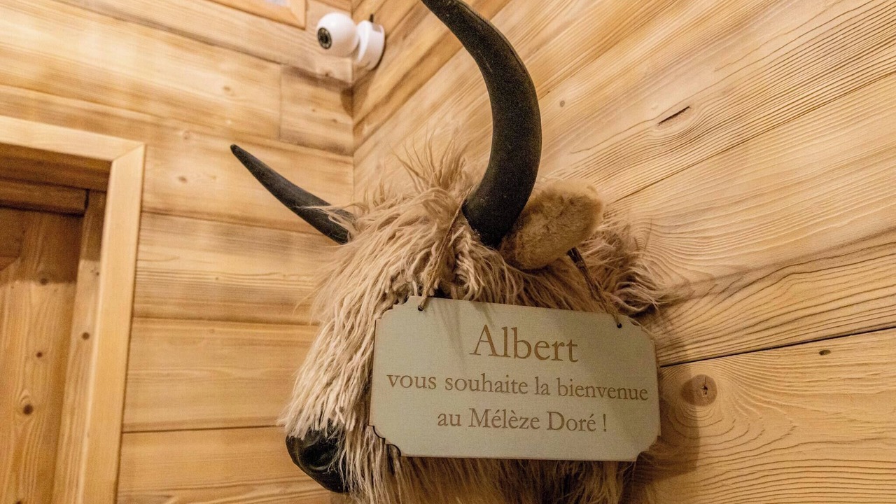 Photo of Others in Meribel