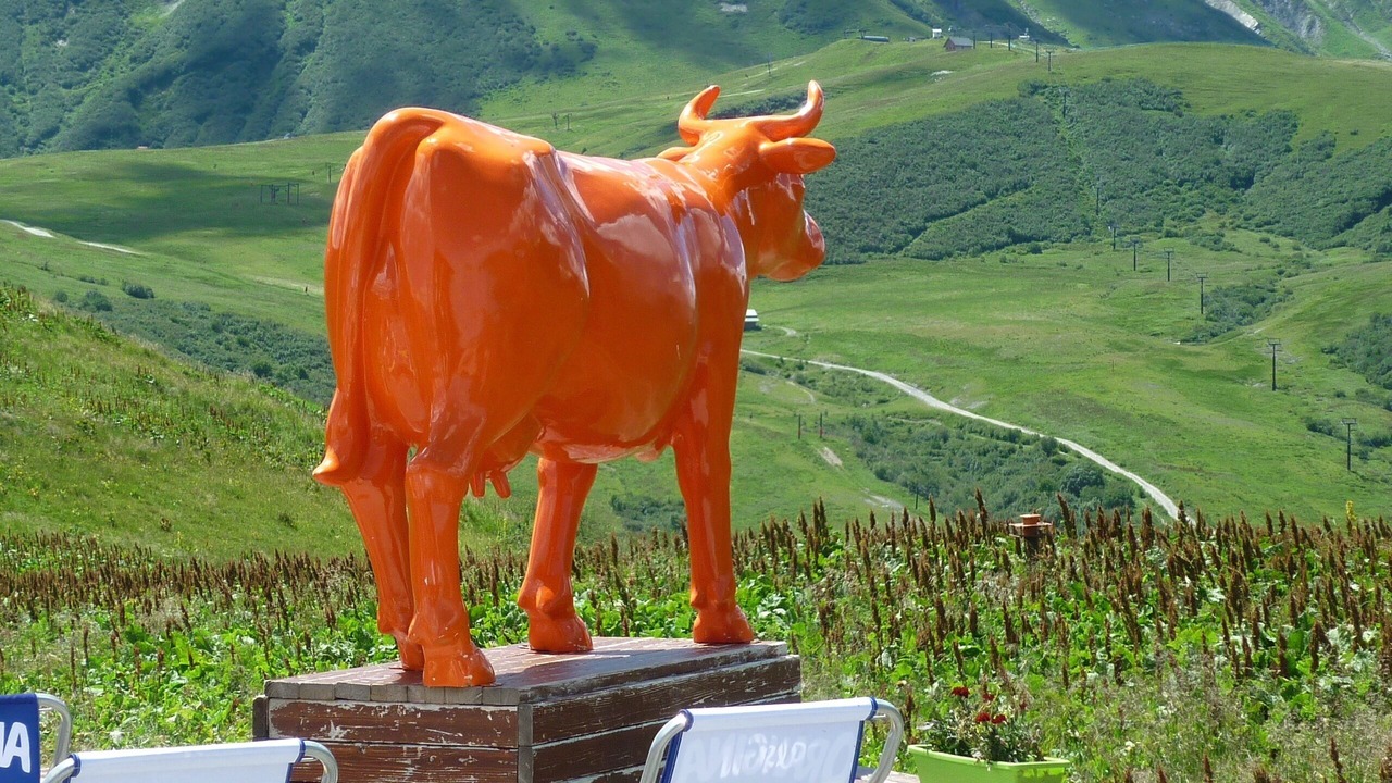 Photo of Outdoor in Valmorel