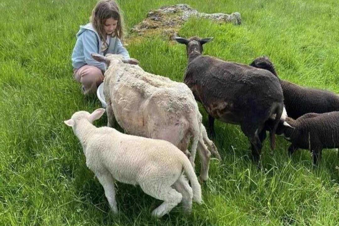Photo of Others in Les Salles
