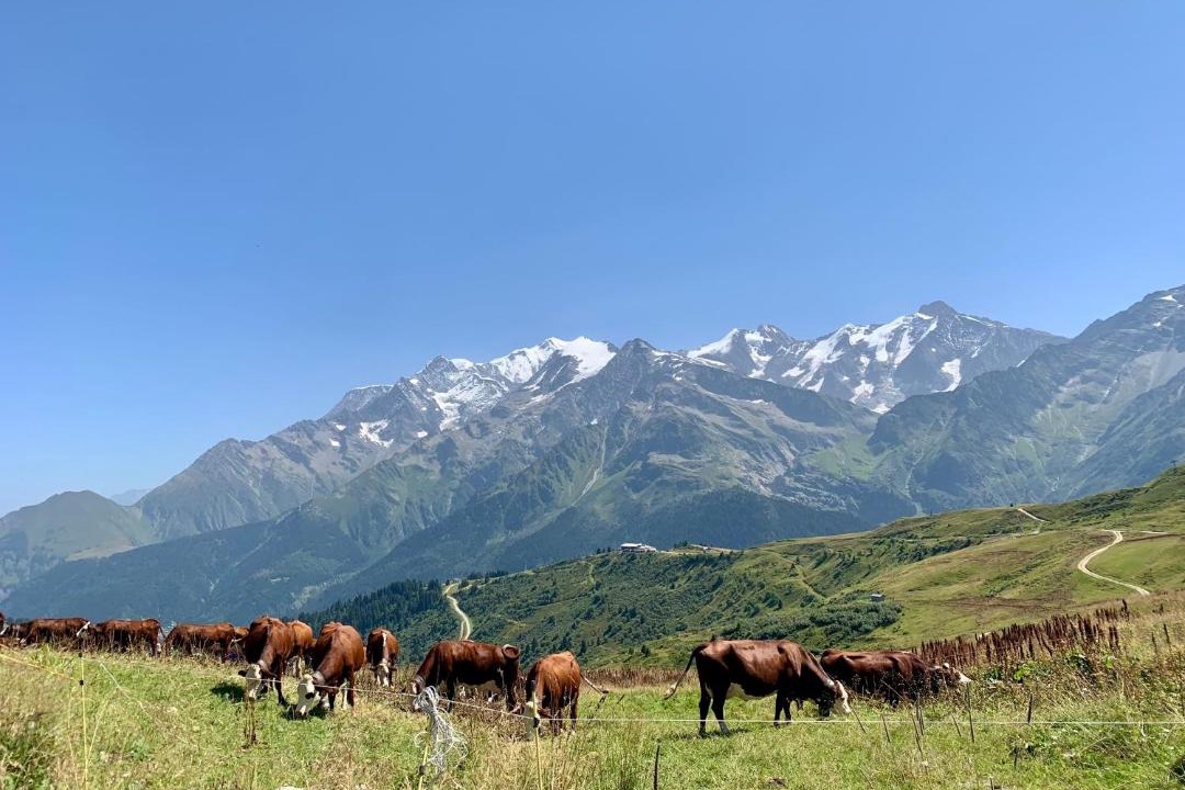 Photo of Others in Les Contamines-Montjoie