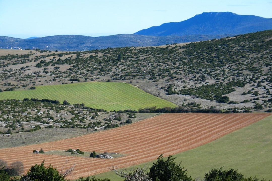 Photo of Others in Le Cros