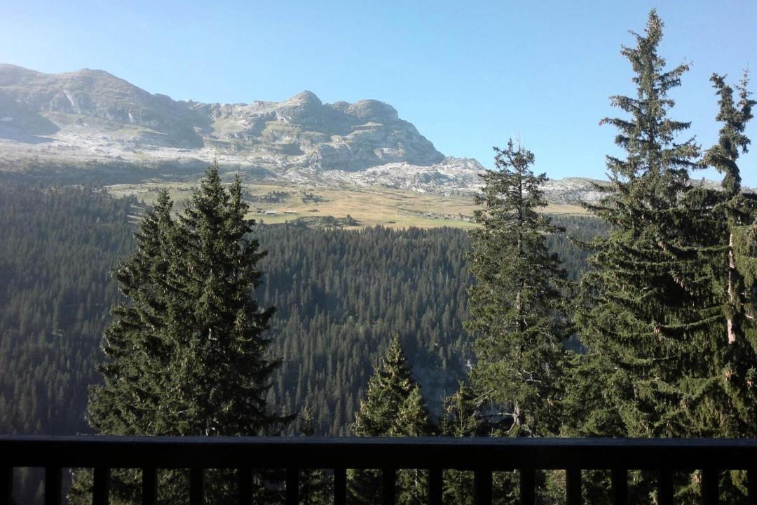 Photo of Others in Flaine