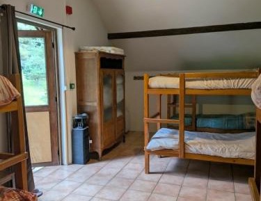 Bed in 8-Bed Mixed Dormitory Room