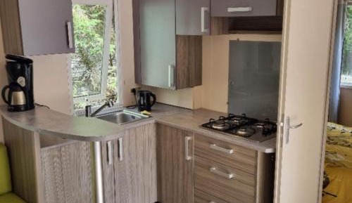 Mobile Home