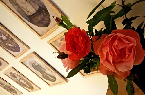 Noyers-sur-Cher Bed & Breakfast | 6 minutes from Beauval Zoo and 30 minutes from the Chateaux de la Loire.