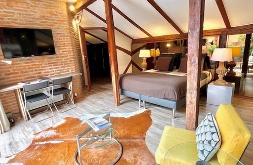 Saint-Etienne Apartment | La Terrasse Croix Baragnon