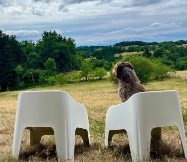 Vollore-Ville Apartment | La Forêt suspendue - Gîte nature sur 9ha - accès Spa avec vue panoramique